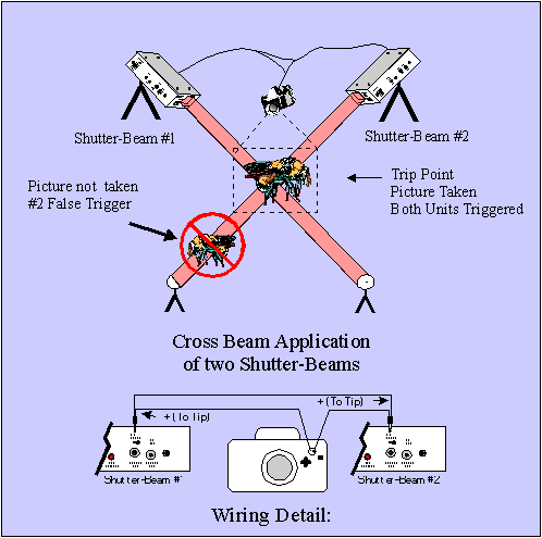 Cross Beam Application of the Shutter-Beam