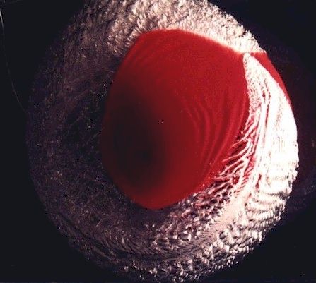 Balloon at exact moment of popping